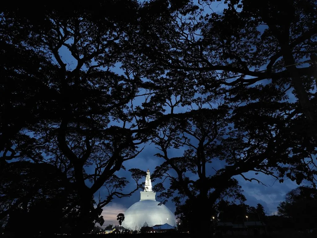 ruwanweliseya - seedevi family restaurant